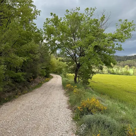 Sant Grau I Country house